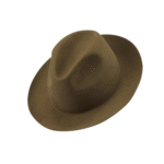 Classic Fedora Hat